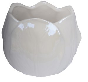 EW-7898 Dekoráció