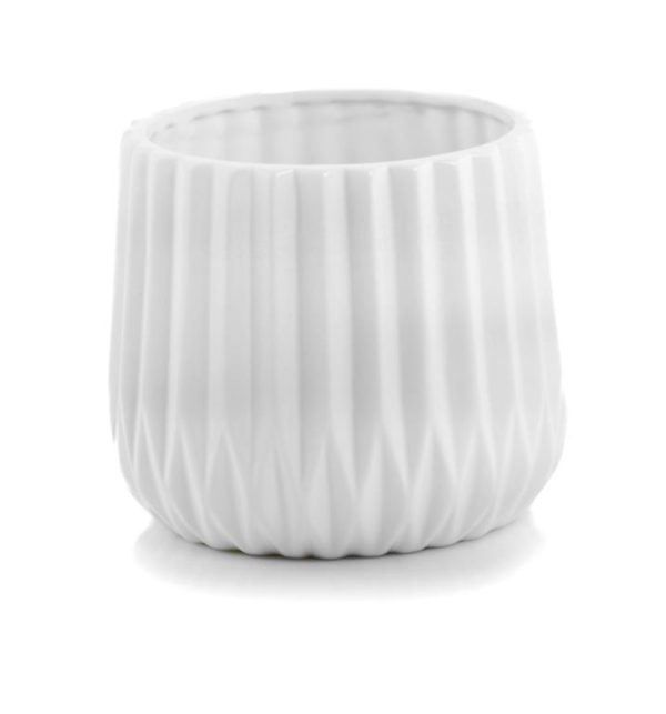 product-1243