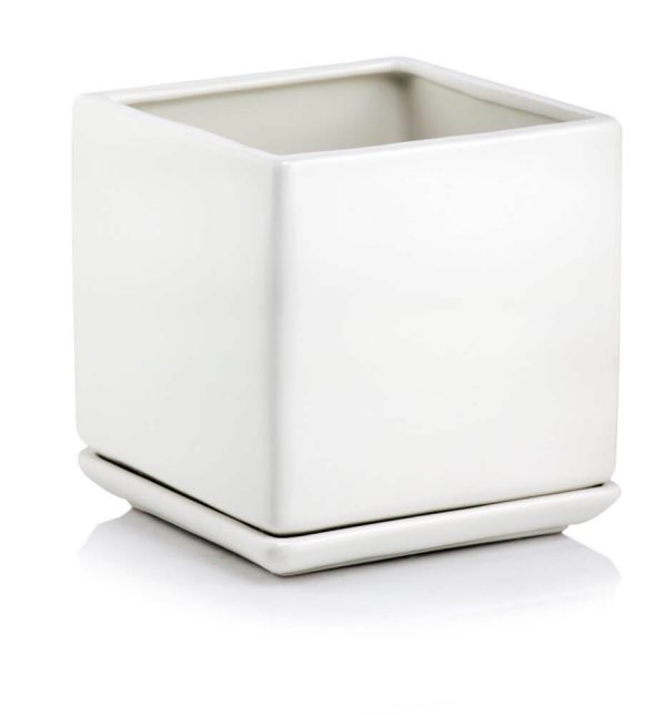 product-2471