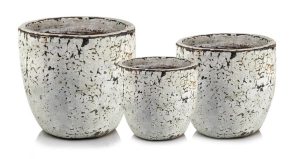 POL-75.704. 29/37/45 Dekoráció - Image 1