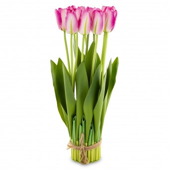 9dc55c82d32a019ca62dae1460e3d83f-middle