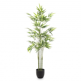 09e4a93776b3f2def6d23cc039f7cf55-middle