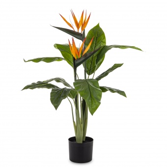 0e9b139d8ede7df975575596a023ee75-middle