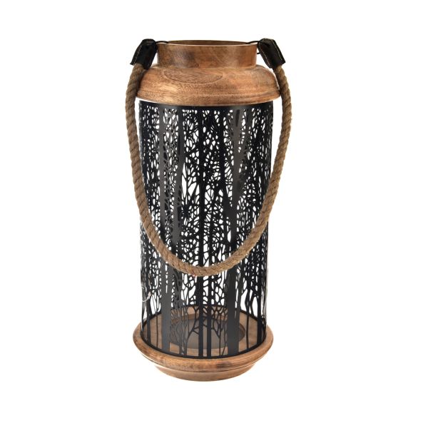 6E6B75767D-6B5C5A5A5A5A5A5B5C5B5A5E-A20000012104jpgresize600