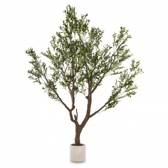 79e186ea2693f966085b72fa941fc7a9-middle