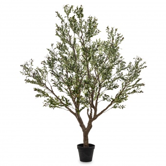 7b42ad3f5331432da697d92f949d0de8-middle