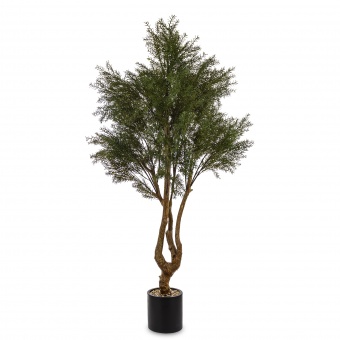 9ca30f9db5866b480d45ed6d13f954c0-middle