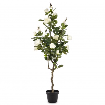 ab92bf27fe223f9b7176448dca2d9f51-middle