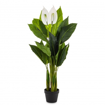 afde726528f859e58a7f7c0152b13ad6-middle