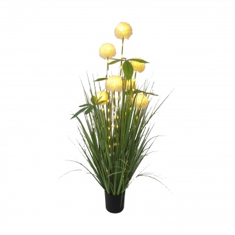 df9566d32c5c499652cdfd35d21a5d04-middle