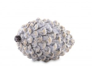 ART-147487 Dekoráció