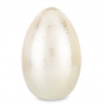 8542bfc656b18e38459af9a0a4a09423-middle