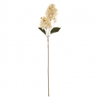 d657b74c28927e187a47e4aabb9d9a28-middle