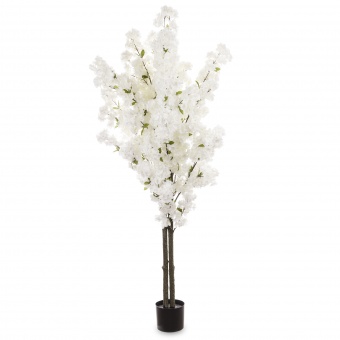 dd5715f9f7d8c2488032f0aabe1d9995-middle