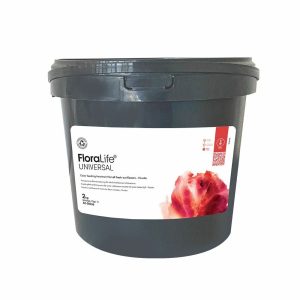 POL-O81-52006 |Odżywka Express 10l. Dekoráció - Image 1