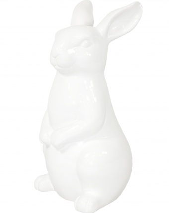 406940889362d025496d6fc7426d4cf5-middle