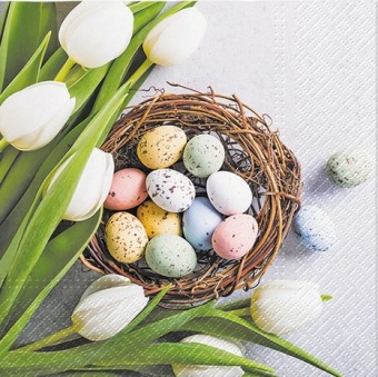 74795e5026887592b4115f4eeca6a720-middle