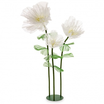 66184ee3d2098018ef76302886b829aa-middle