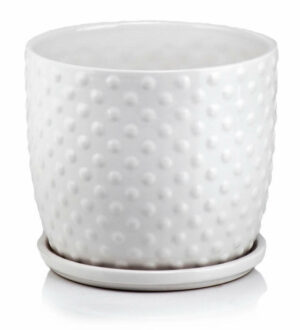 POL-05.429.13 Dekoráció