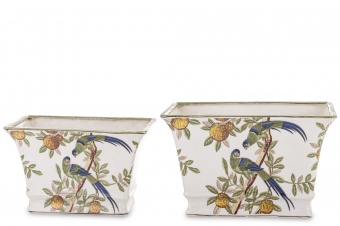 00a40c8fbdacc502a540836550e5e08d-middle